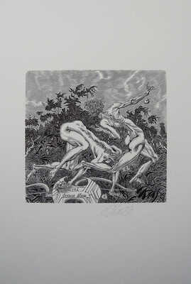 Верхоланцев М.М. 12 книжных знаков. 1990-2000-е.